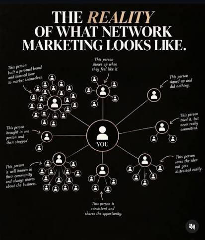 Network Marketing in reality